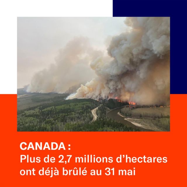 .
Our house is burning
Feux Canada
2023

#feuxcanada #stop #emergency #ourhouseisburning #etatdurgence